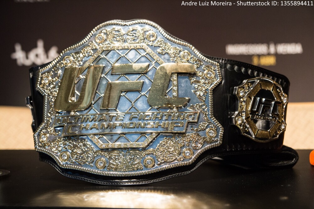 Which Leagues are the Most Important in MMA Betting